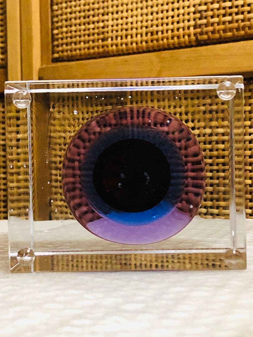 イッタラ　アニュアルキューブ　2025年