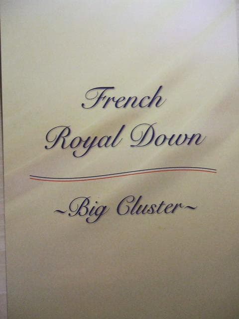 残り3点激安価格！新品＊ロイヤル＊フランス９３％＊増量１，３キロ＊羽毛布団ＳＢ