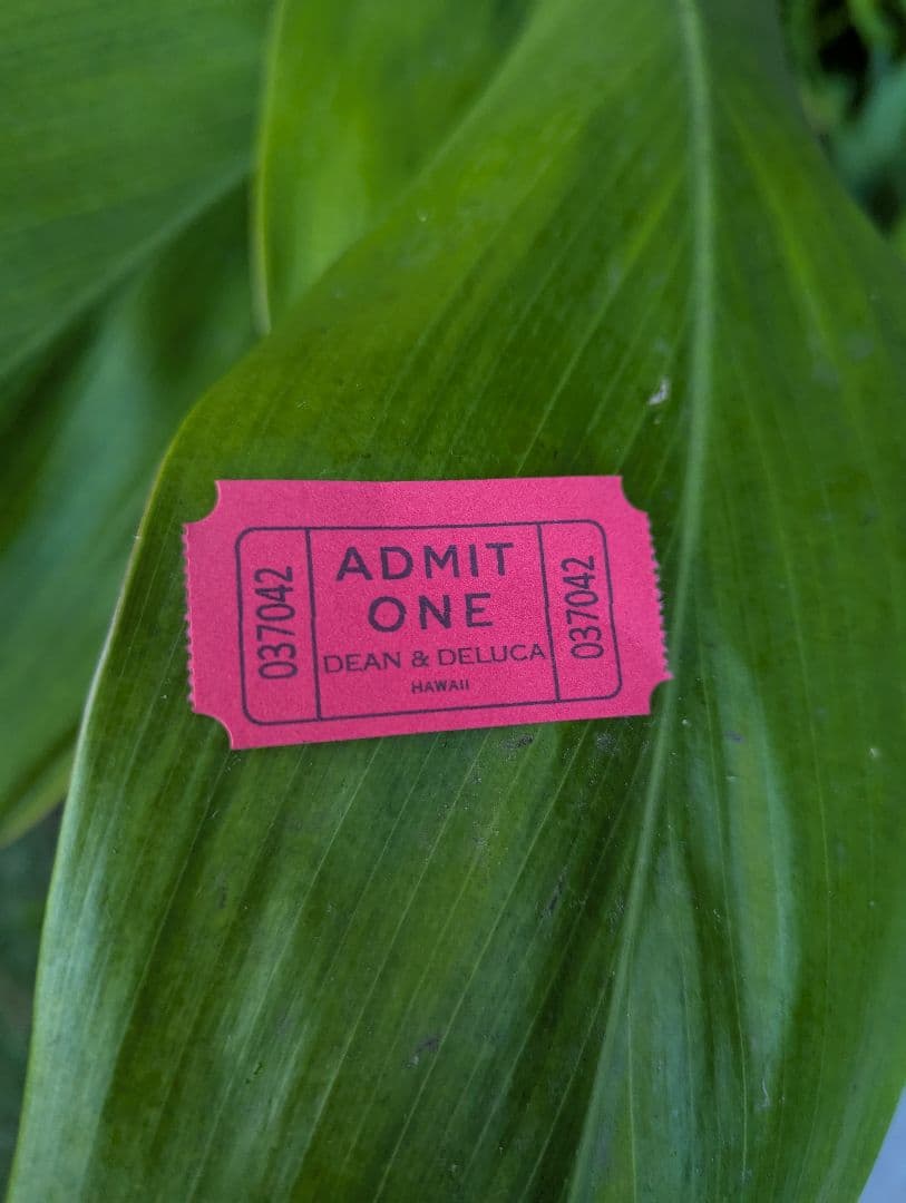 ＜新品＞ハワイ限定☆DEAN＆DELUCA☆トートSロイヤルピンク