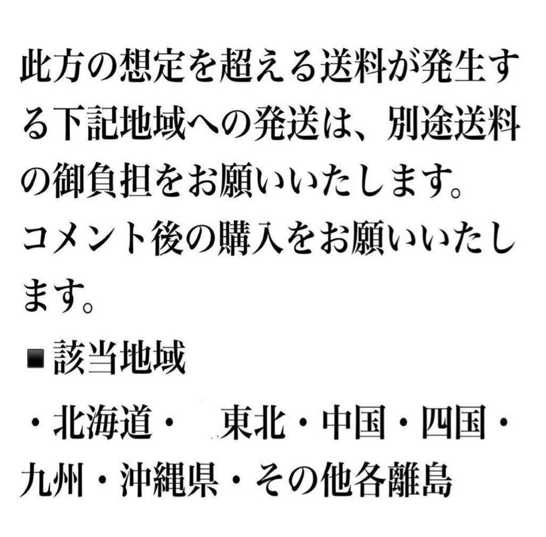 ①幹が太くしっかり根が張ってる特選品‼︎ セルリア・ブラッシングブライト