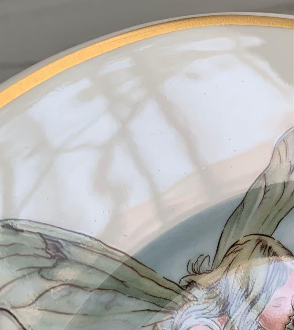 フラワーフェアリーズ【ハリエニシダの妖精】飾り皿 プレート