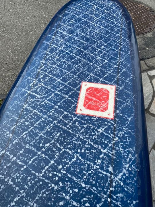 CANVAS ロングボード　9.6