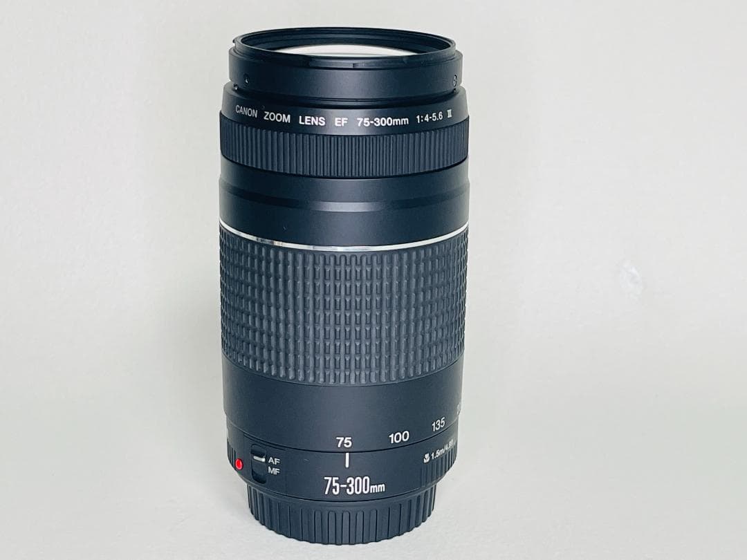 【完動品】 Canon EF 75-300mm F4-5.6 III 望遠レンズ