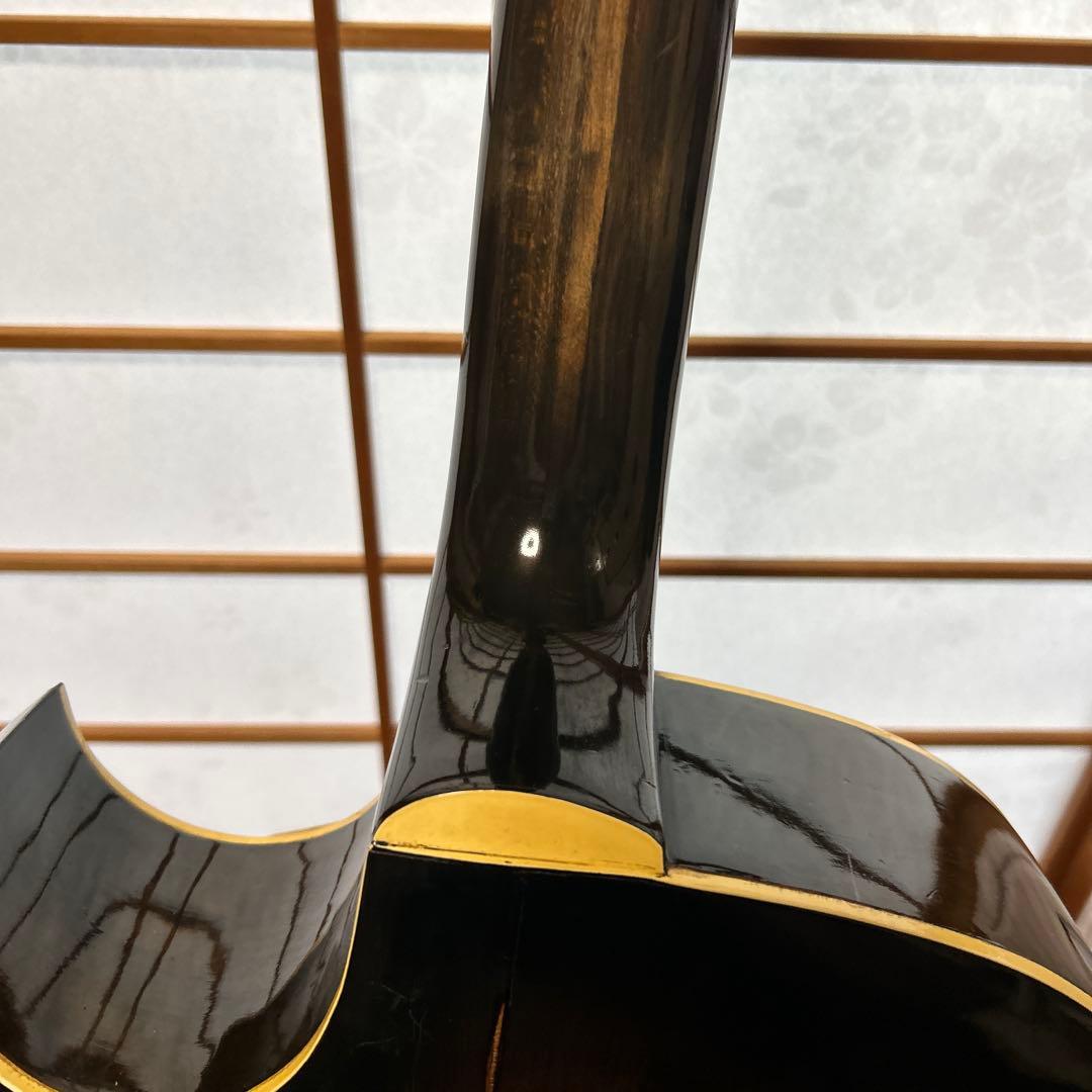 NARDAN NO.120　 ナルダンピックギター アーチトップ
