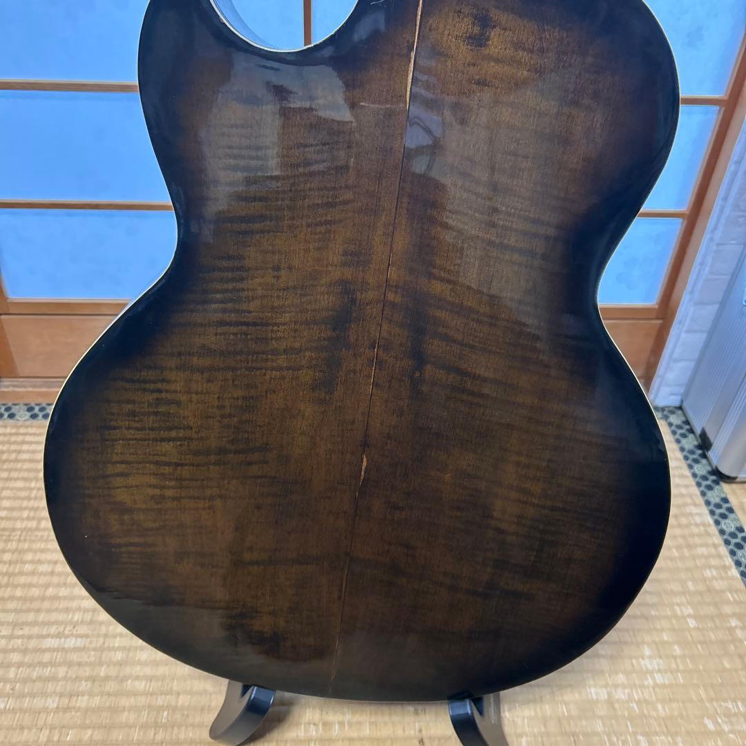 NARDAN NO.120　 ナルダンピックギター アーチトップ