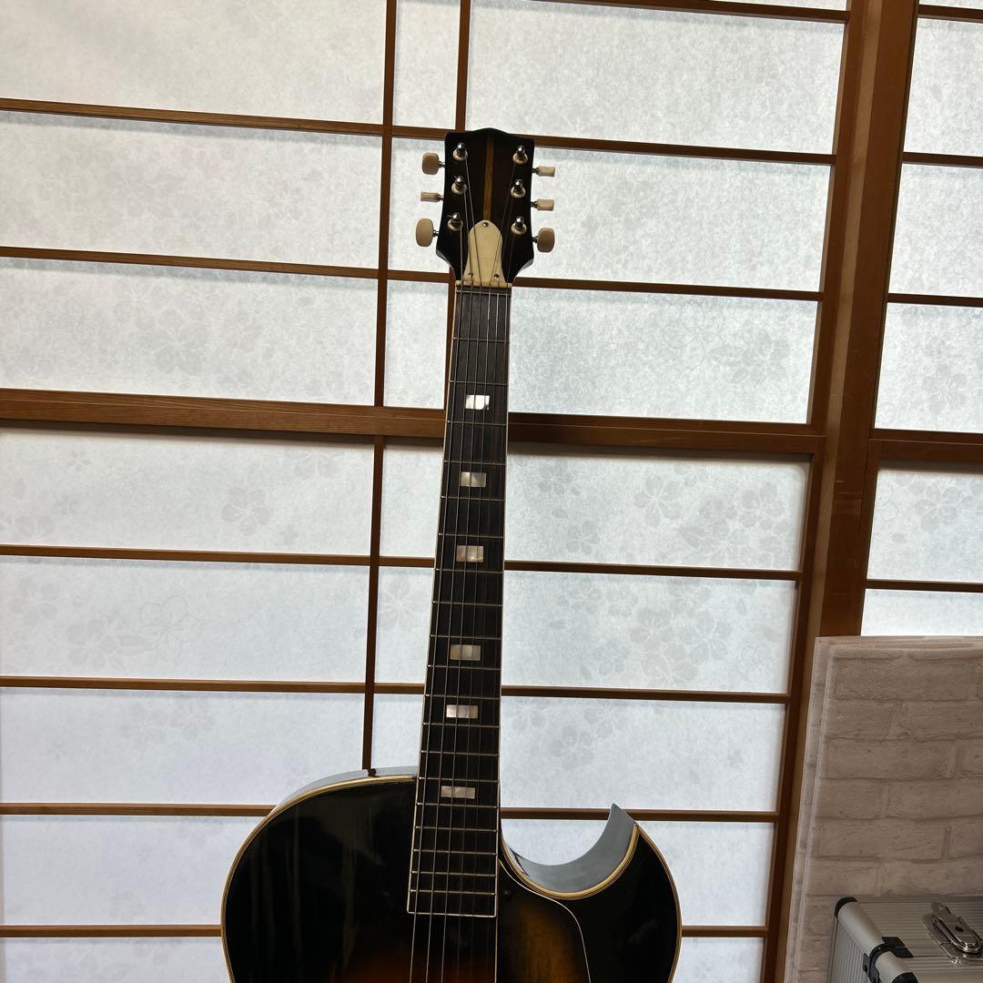 NARDAN NO.120　 ナルダンピックギター アーチトップ