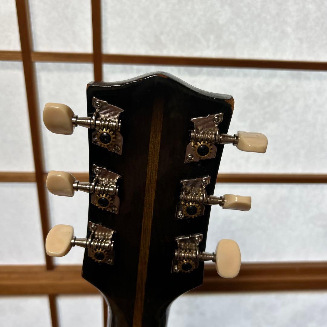 NARDAN NO.120　 ナルダンピックギター アーチトップ