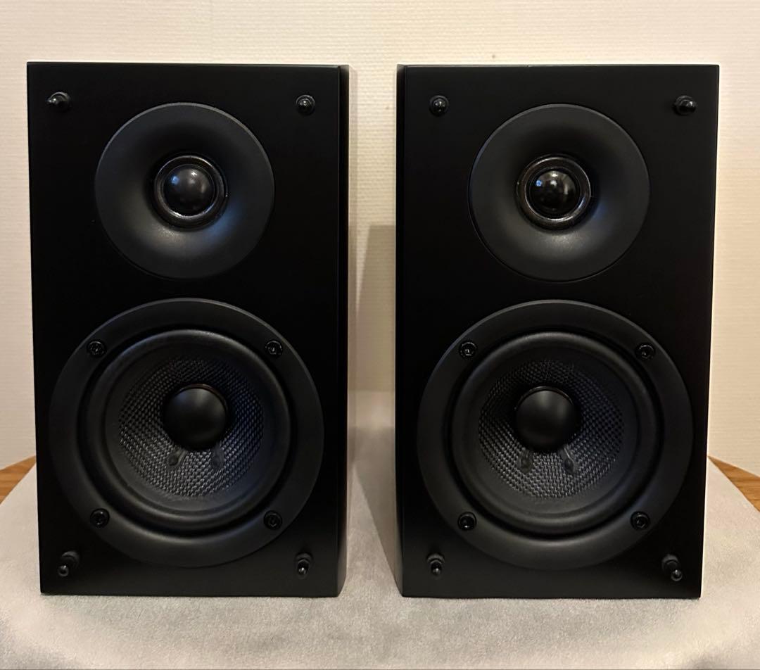 PioneerパイオニアスピーカーS-CN301-LR