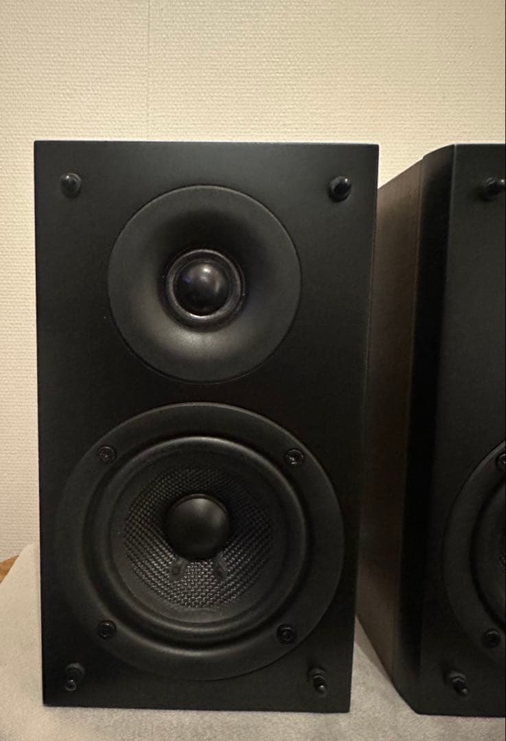 PioneerパイオニアスピーカーS-CN301-LR