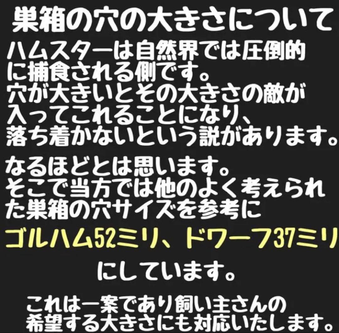 タンタン　ハムスター　ルーミィ60用　ロフト巣箱
