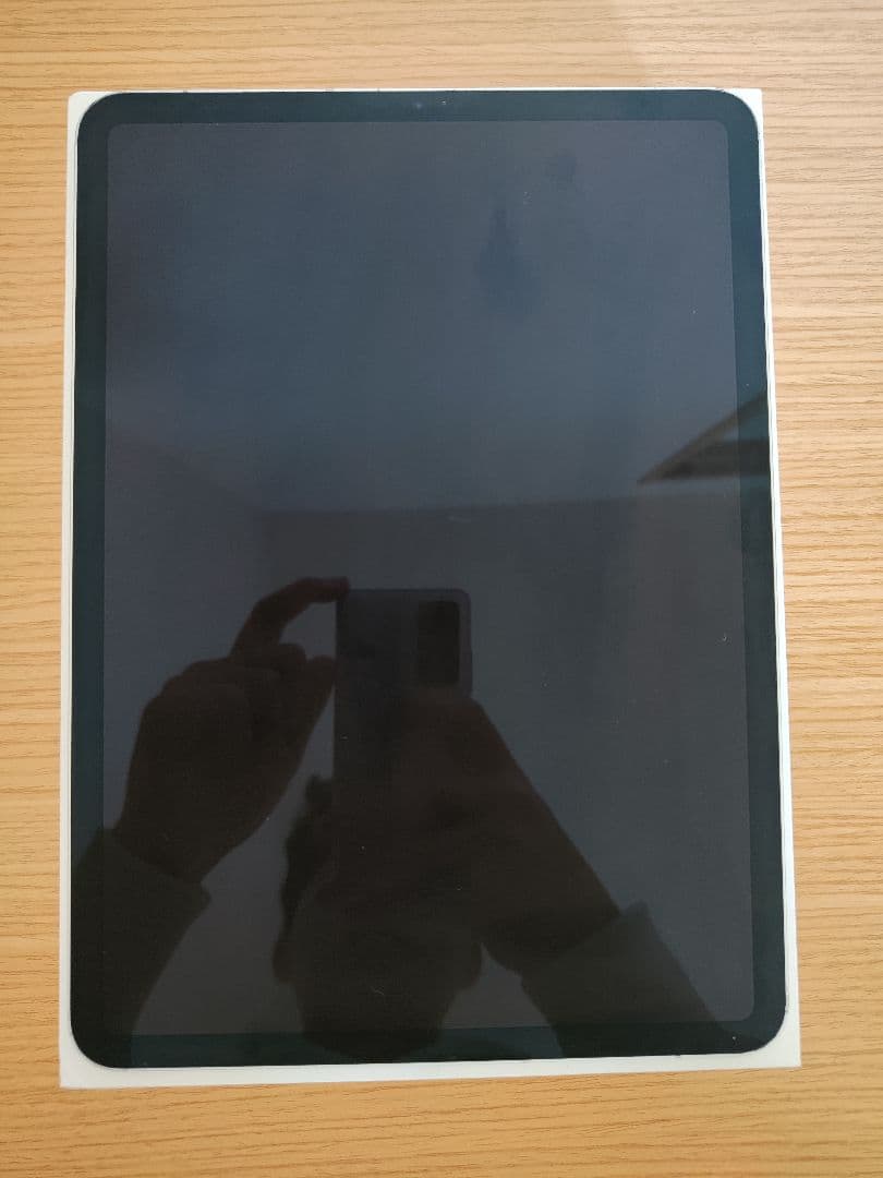 Ry* iPad Pro 11 第2世代 256GB Cell+Wifi