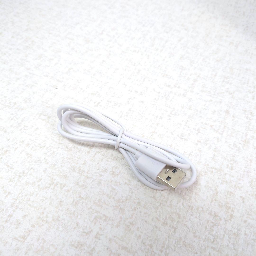 M0119E1 未使用★ルビーセル ビューティーマスター 美顔器 通電確認済み