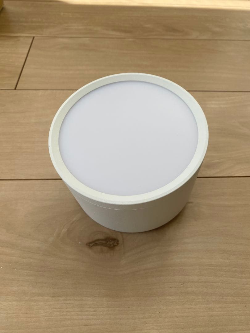 【2個】エジソンスマート ミニシーリングライト スマート照明 ダクトレール用