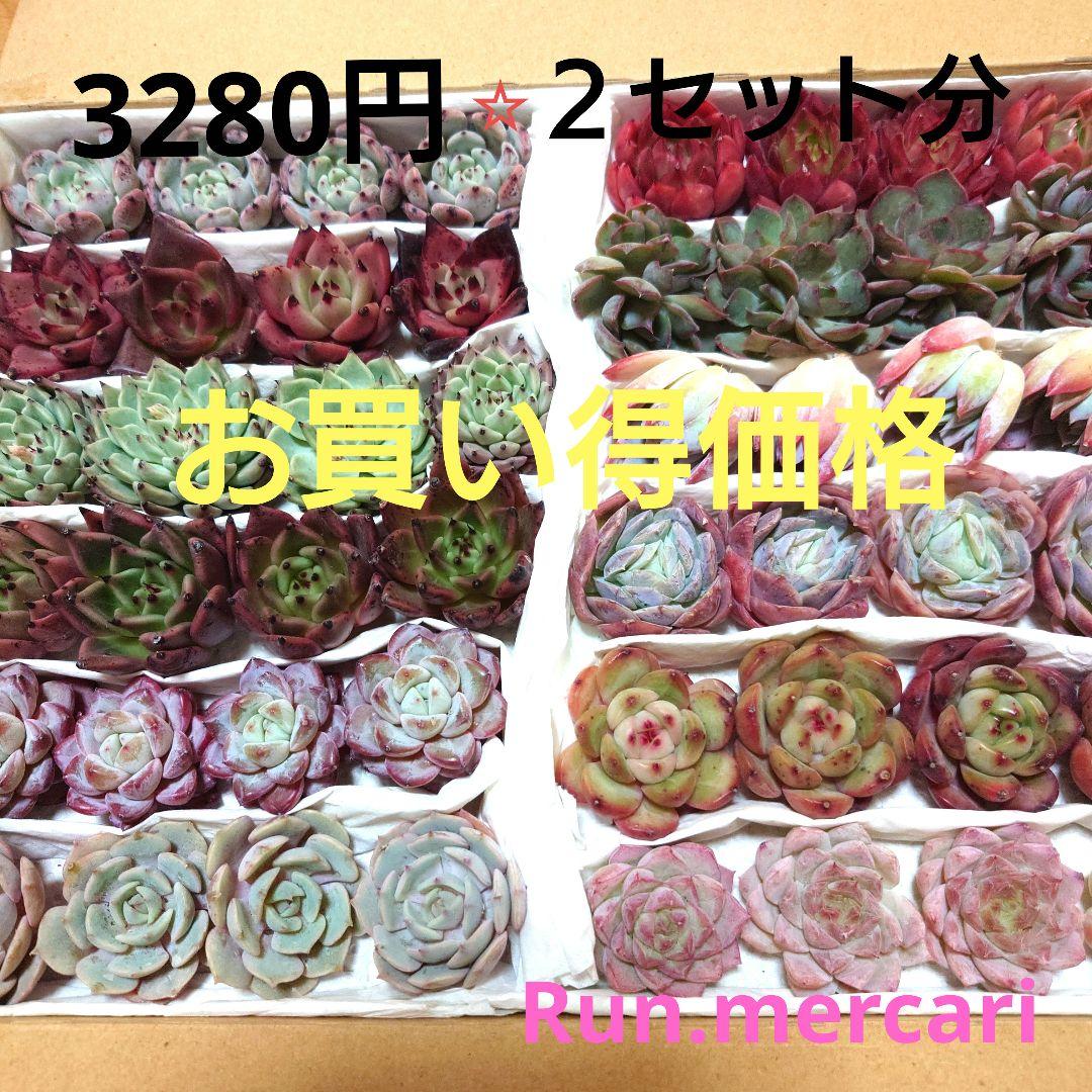 キットチャット✶発送は1/5以降様 リクエスト 2点 まとめ商品