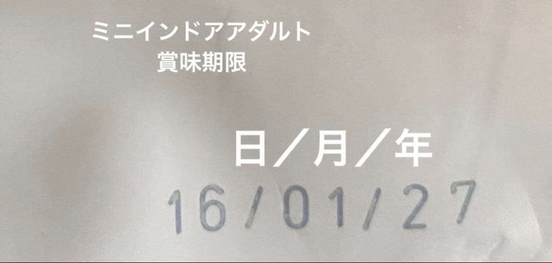  CANIN ミニインドアアダルト 10kg