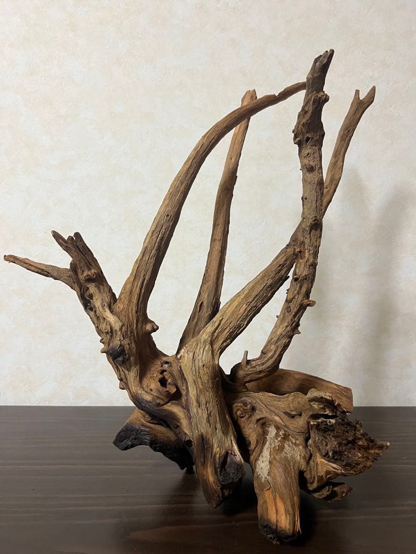 175 流木　ホーンウッド　マシンガンウッド　アクアリウム　ブランチウッド