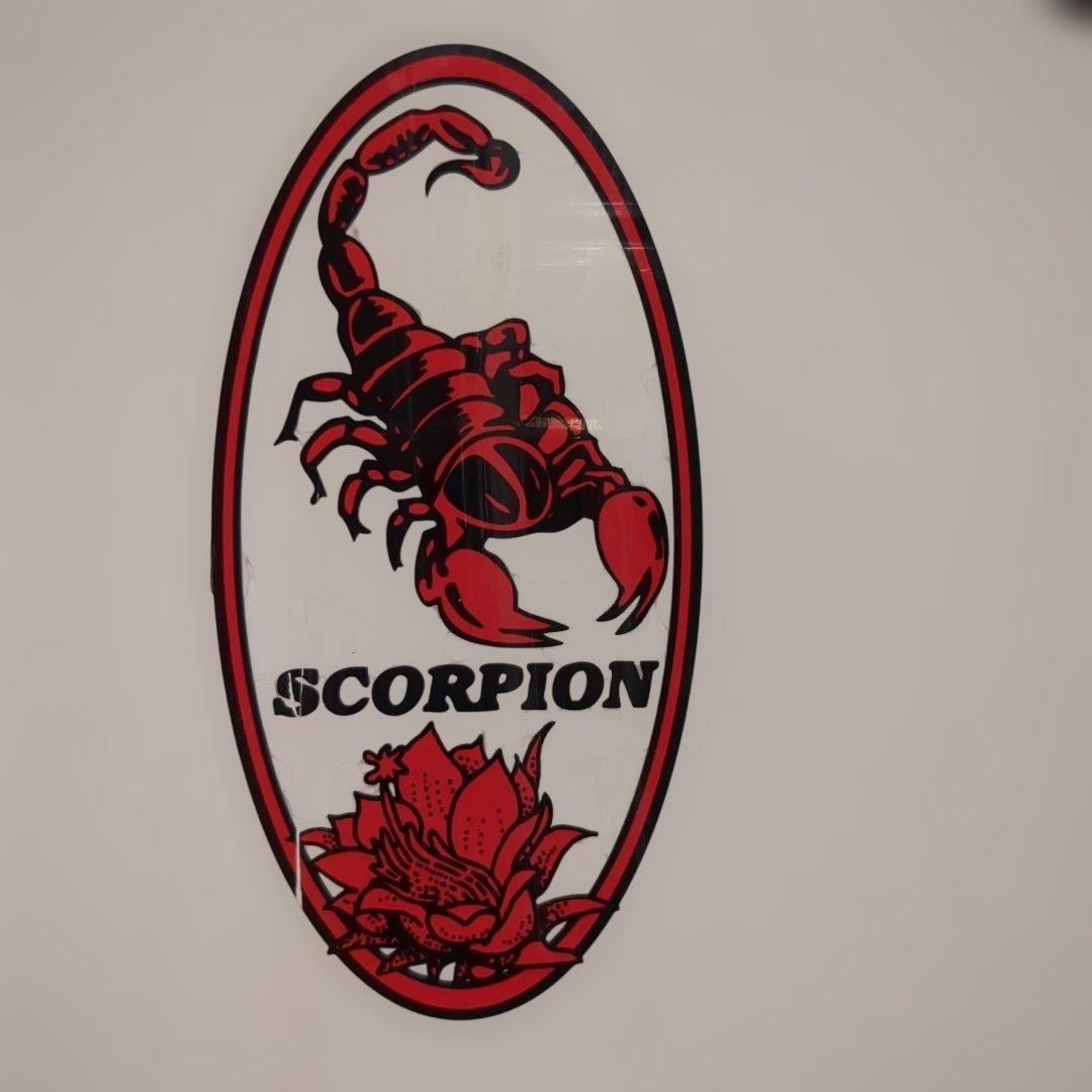 フィン2種付き✨6'4\"ドナルドタカヤマ スコーピオン