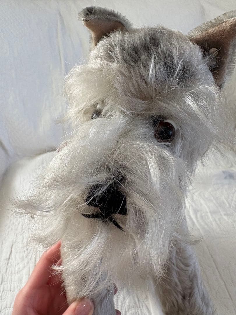 Steiff シュタイフ Tessie テッシー シュナウザー ビンテージ 犬