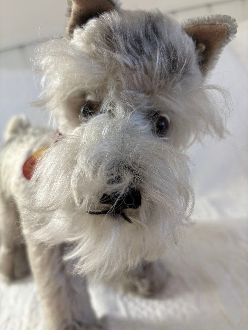 Steiff シュタイフ Tessie テッシー シュナウザー ビンテージ 犬