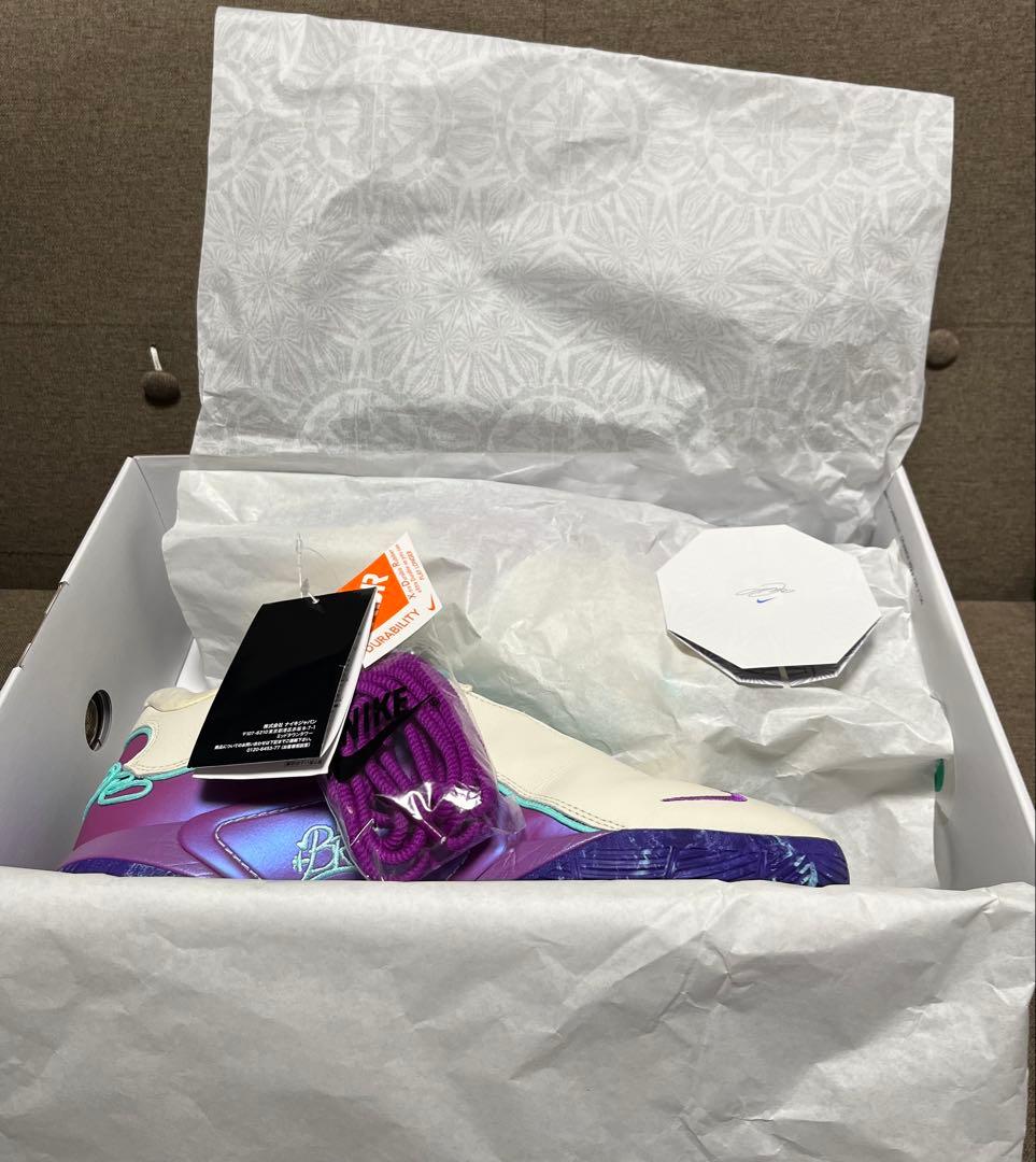 NIKE LEBRON 22EP ナイキ レブロン 30cm 替え紐 箱付き