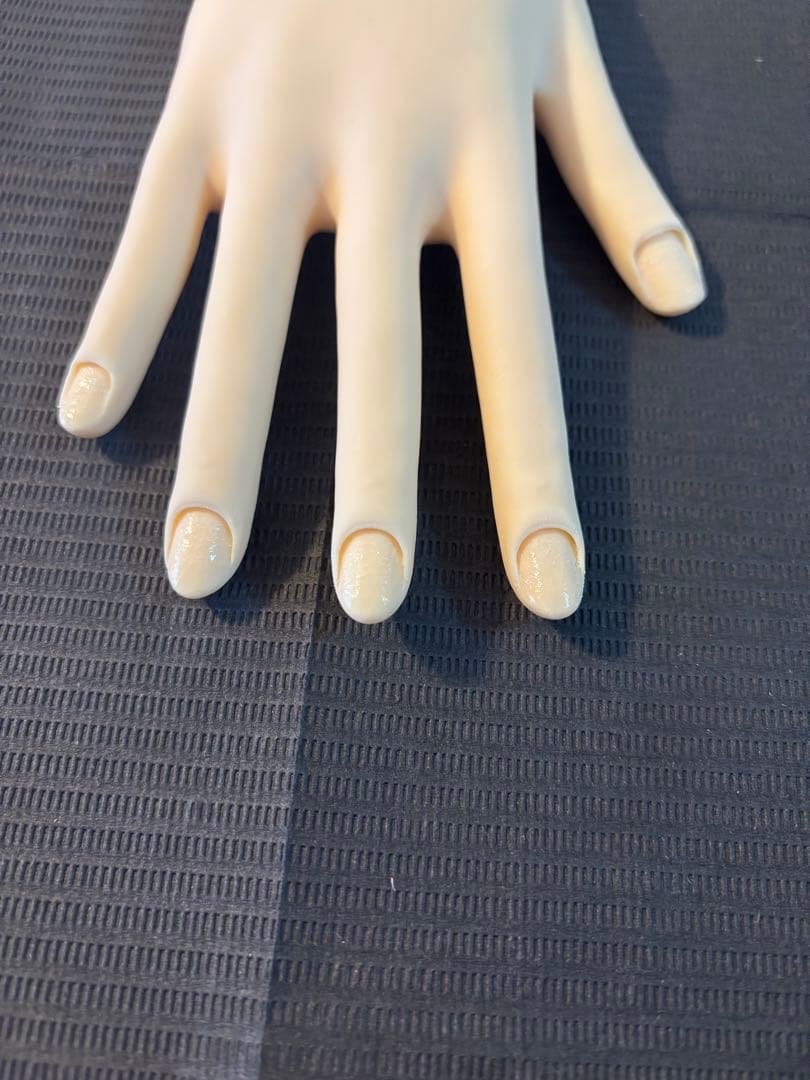 【骨折なし・箱無し】JNEC認定モデルハンド