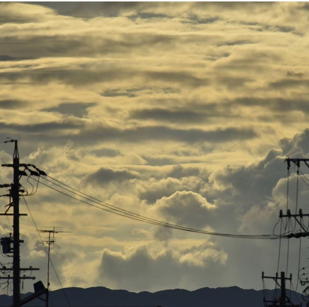 NIKON AF 80-400mm 1:4.5-6.5 ED VR 望遠