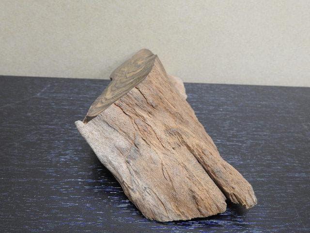 香木　真那賀　MA32