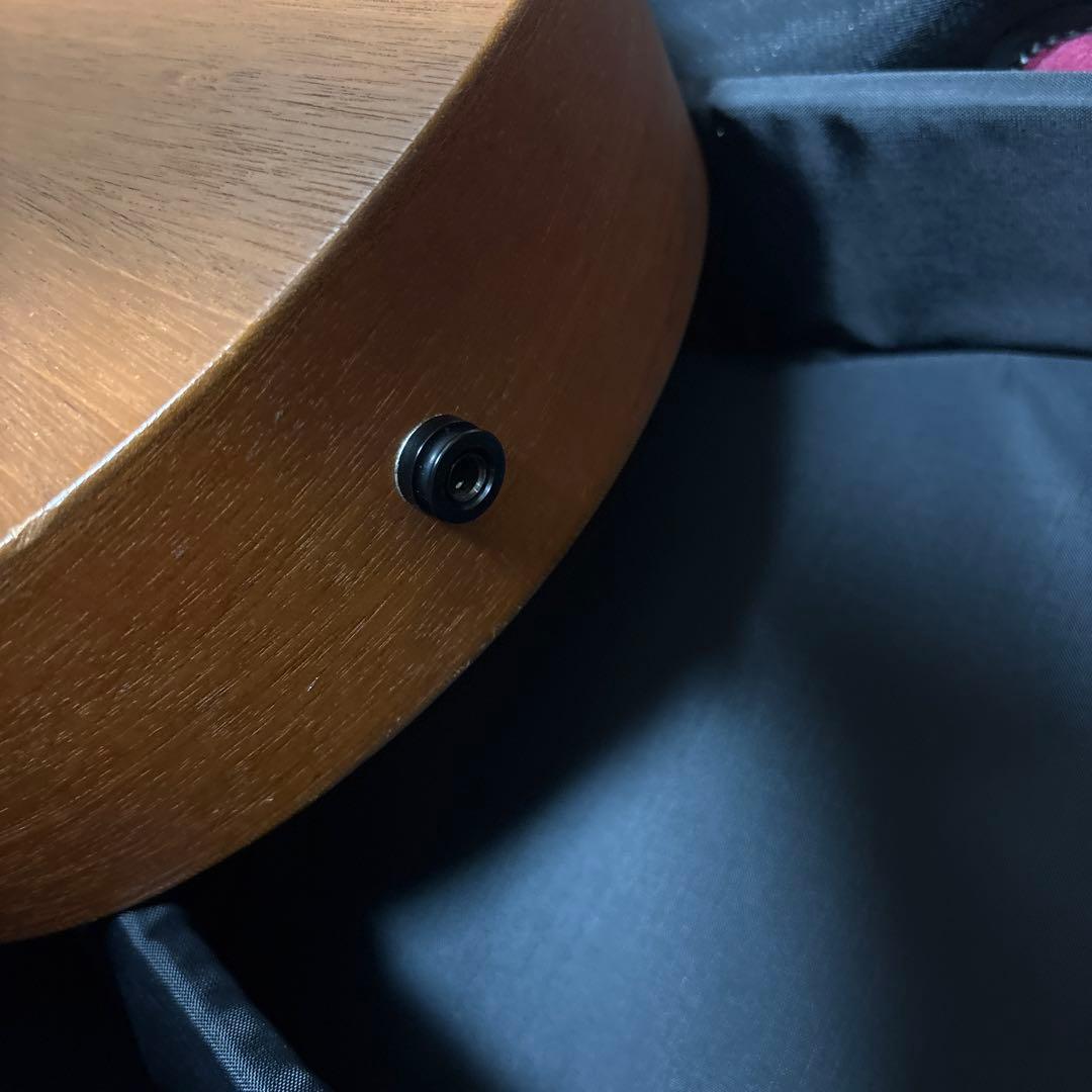 最終　レア　Tacoma P1パプース　ナスカケース付き