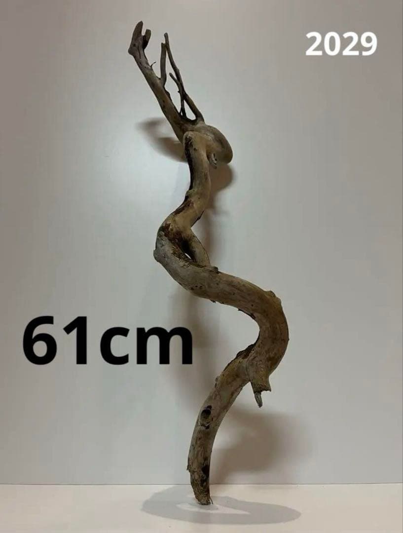 流木　8点
