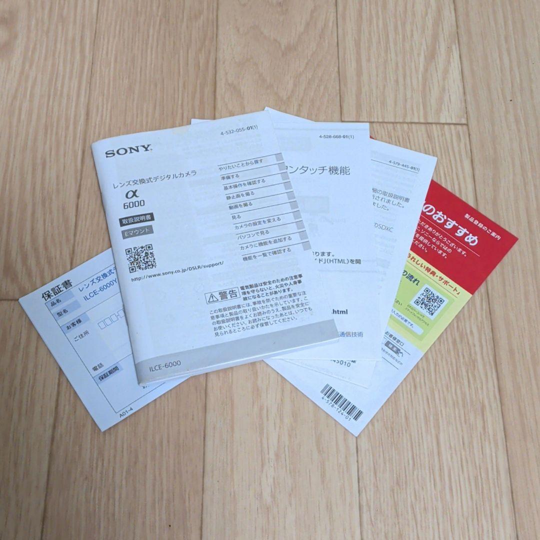 SONY α6000 ミラーレス一眼カメラ ダブルズームレンズキット