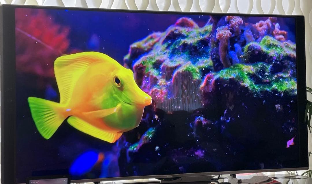 【早い者勝ち】4K対応　SHARP 70型液晶テレビ 4T- C70AU1