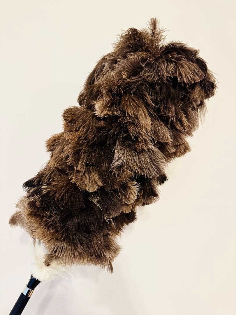 【予約1ヶ月待ち】最高級 松本 毛バタキ オーストリッチ 毛ばたき車 けばたき