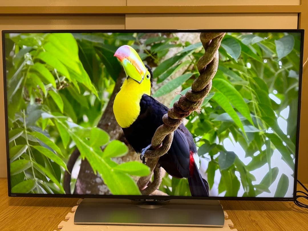 シャープ LC-50U40 50型 2016年製⭕️ 4K液晶ネットサ可能テレビ