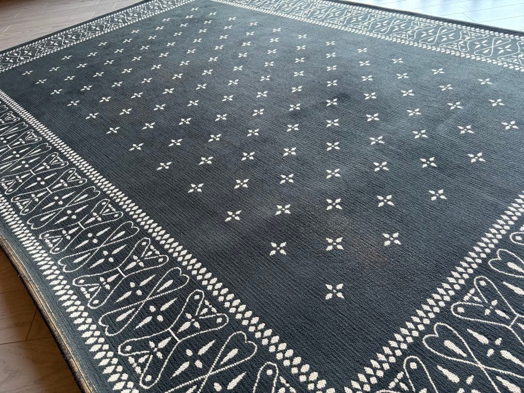 ジャーナルスタンダードファニチャー　バンダナラグ