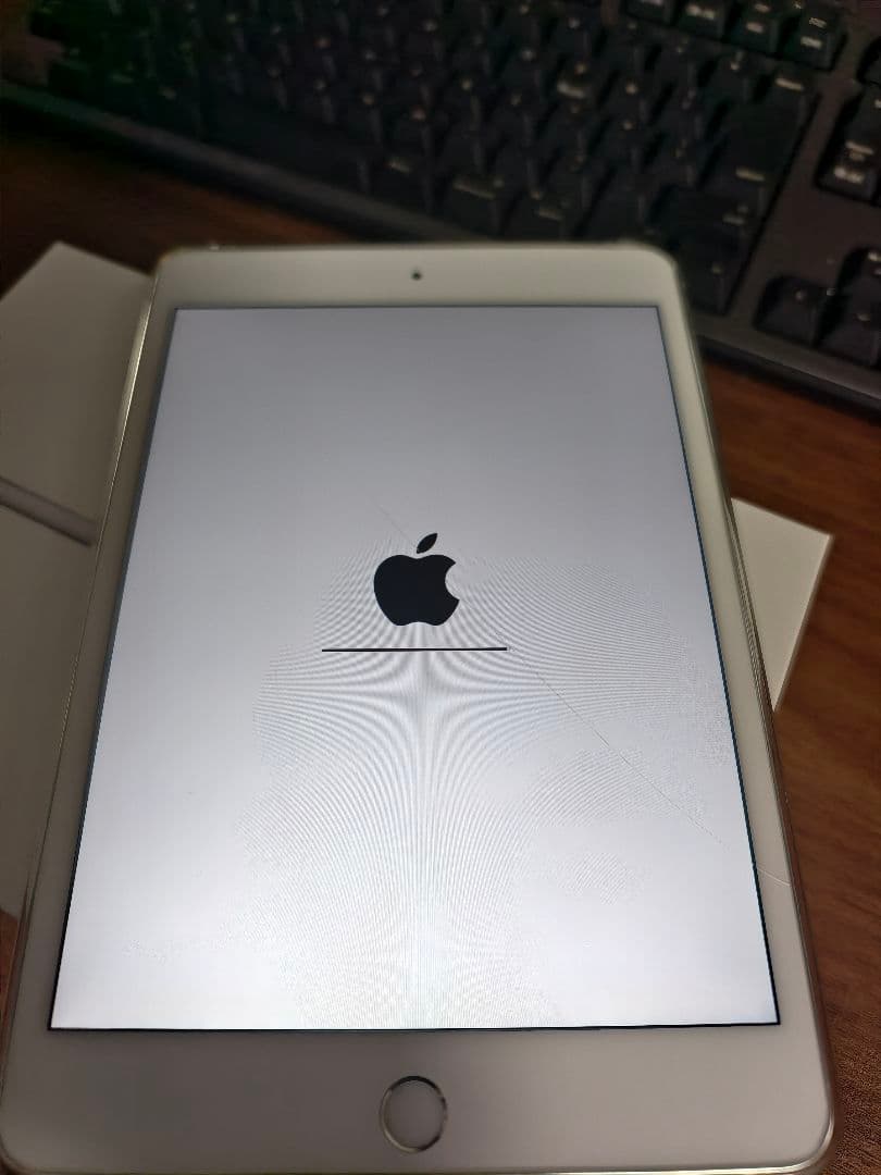Apple iPad mini 5 シルバー 本体箱付き