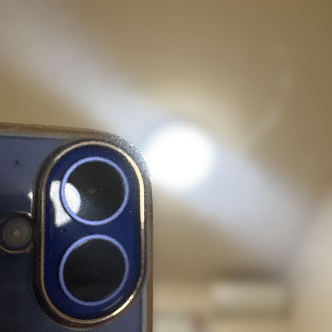 フィスラー 圧力鍋　4.5リットル