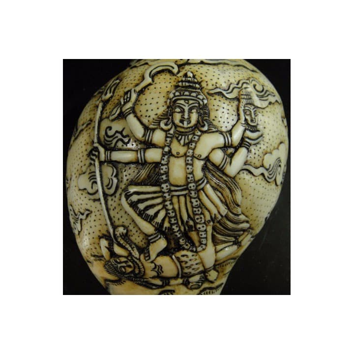 ◆チベット密教法具　法螺貝（シャンカ）カーリー