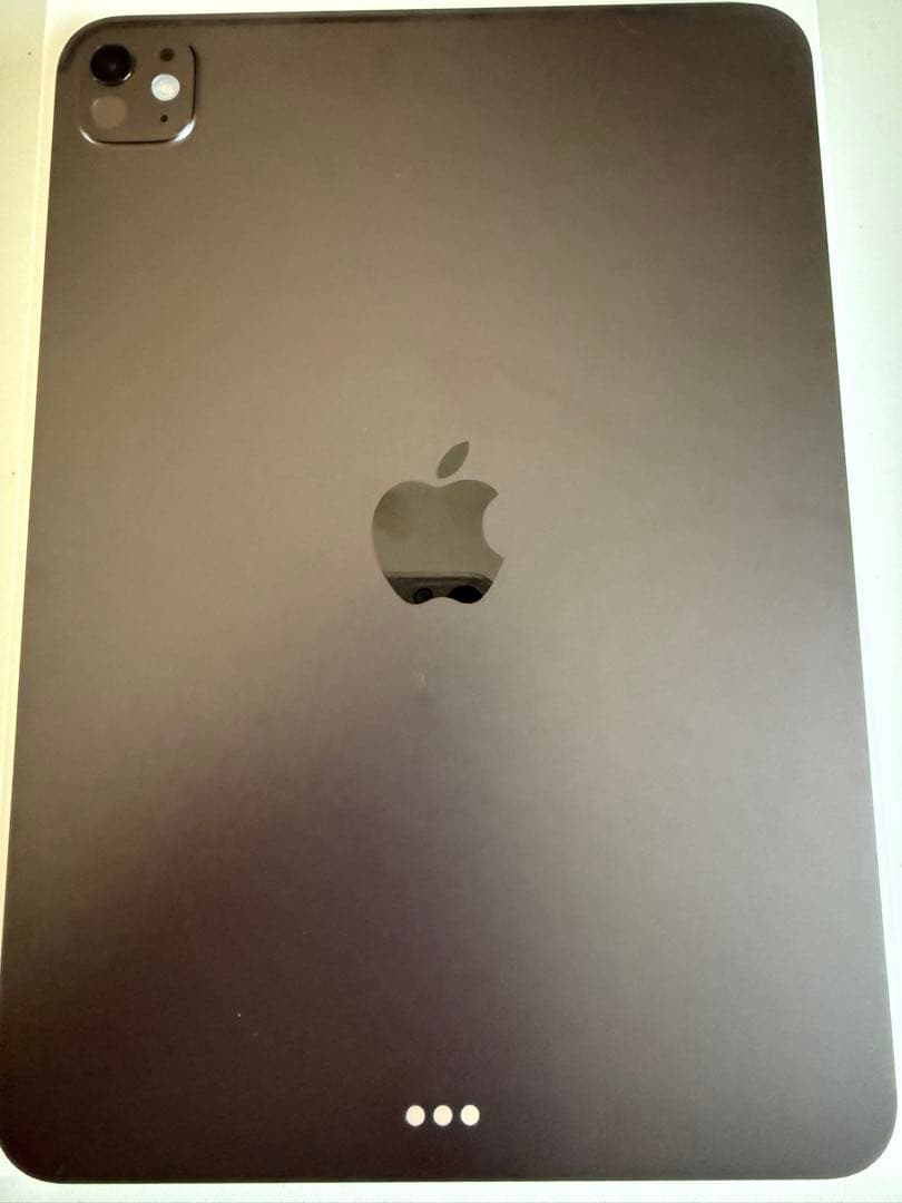 iPad Pro 11インチ M5 最新 クリアケース付き