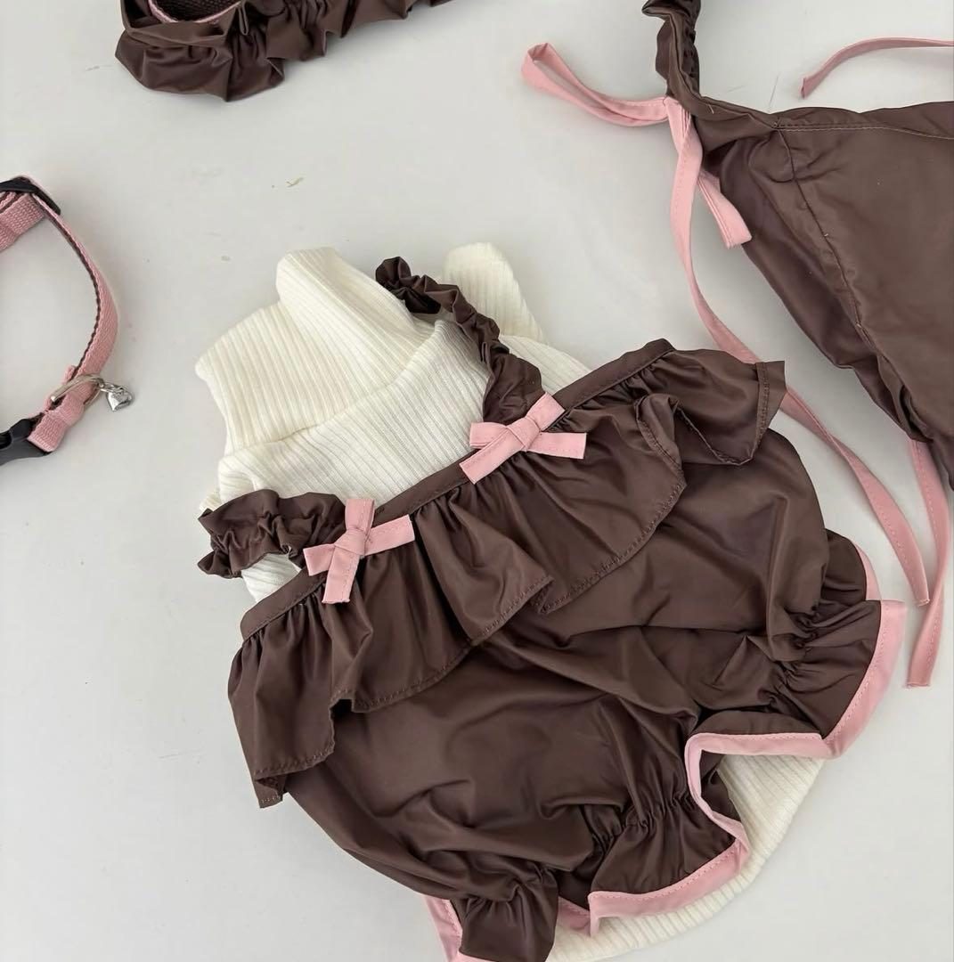 『匿名発送』COZYROSYDAY bag cocoa bustier セット