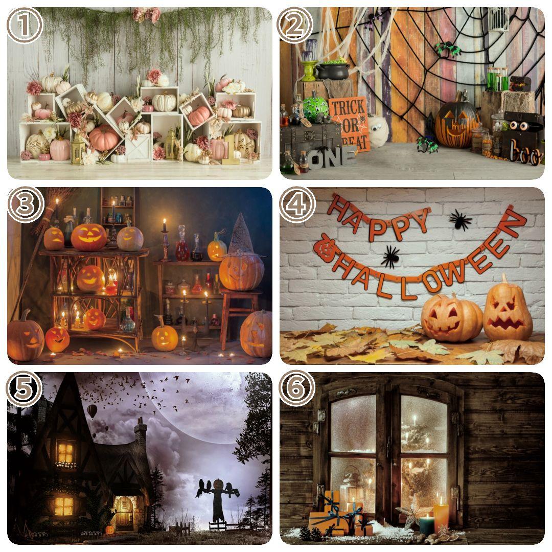 背景布ハロウィンK②　ペット、パーティー撮影用フェルトトリミングチョーカー販売中