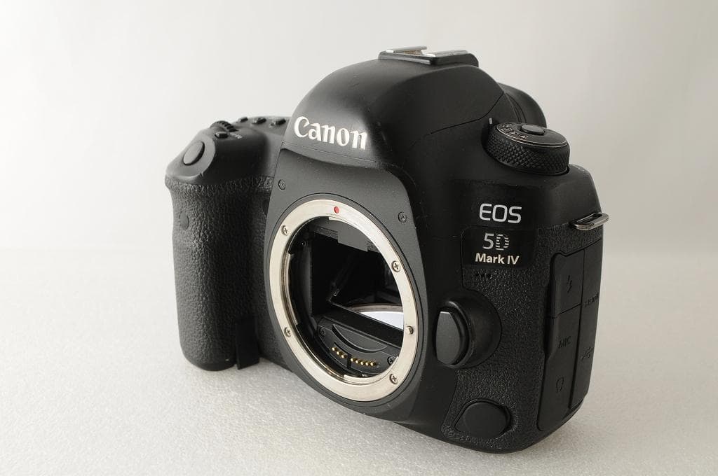 ★美品級★ Canon キヤノン 5D Mark Ⅳ