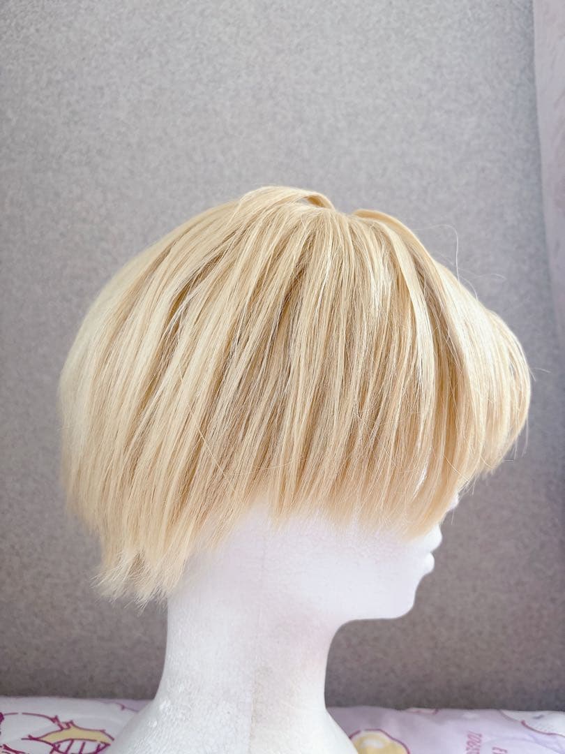 エクスアルビオ 学生 衣装 ウィッグ ローファー セット コスプレ