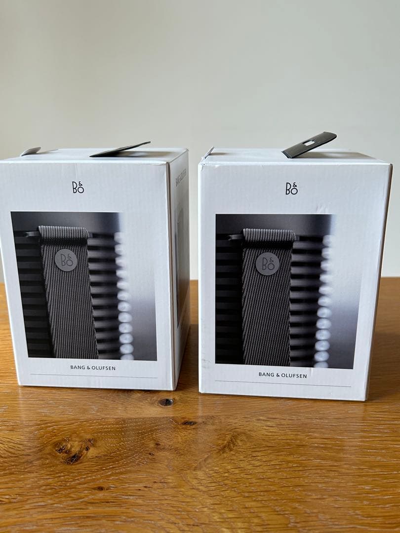 スピーカー・ウーファー BANG & OLUFSEN Beosound Explore