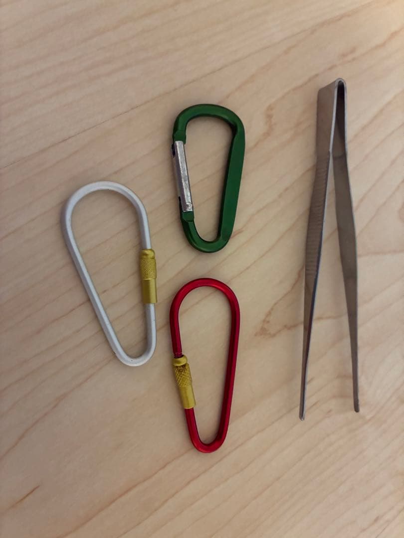 モモンガ　ゲージ　小動物　フクロウモモンガ