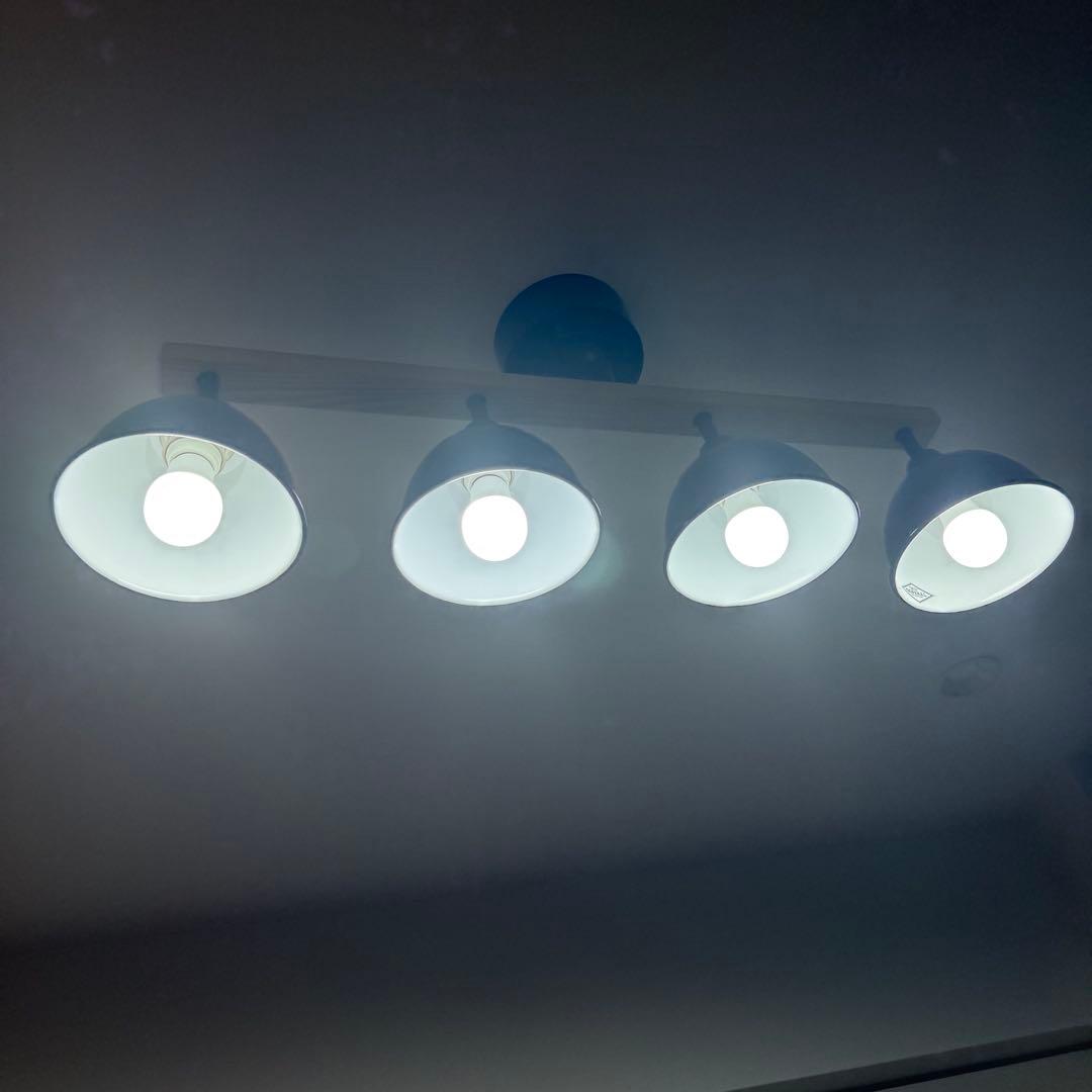 BRID GENDER WOOD ROD ネイビーブルー 4灯シーリングライト