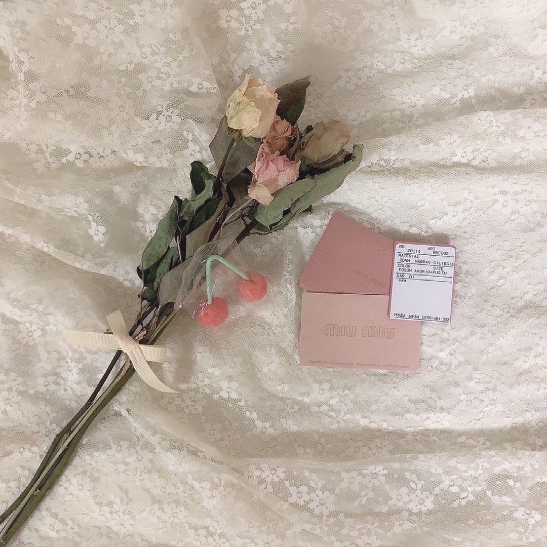 miumiu プリント入り マドラスレザー カードケース