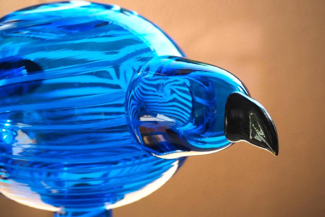 イッタラ NEW YORK BIRD ニューヨークバード オイバ・トイッカ