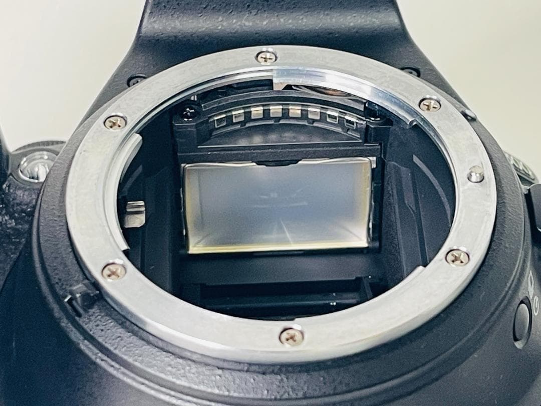 【ショット数2381回/ほぼ新品】Nikon D5600 ☆Wi-Fi内蔵 ☆