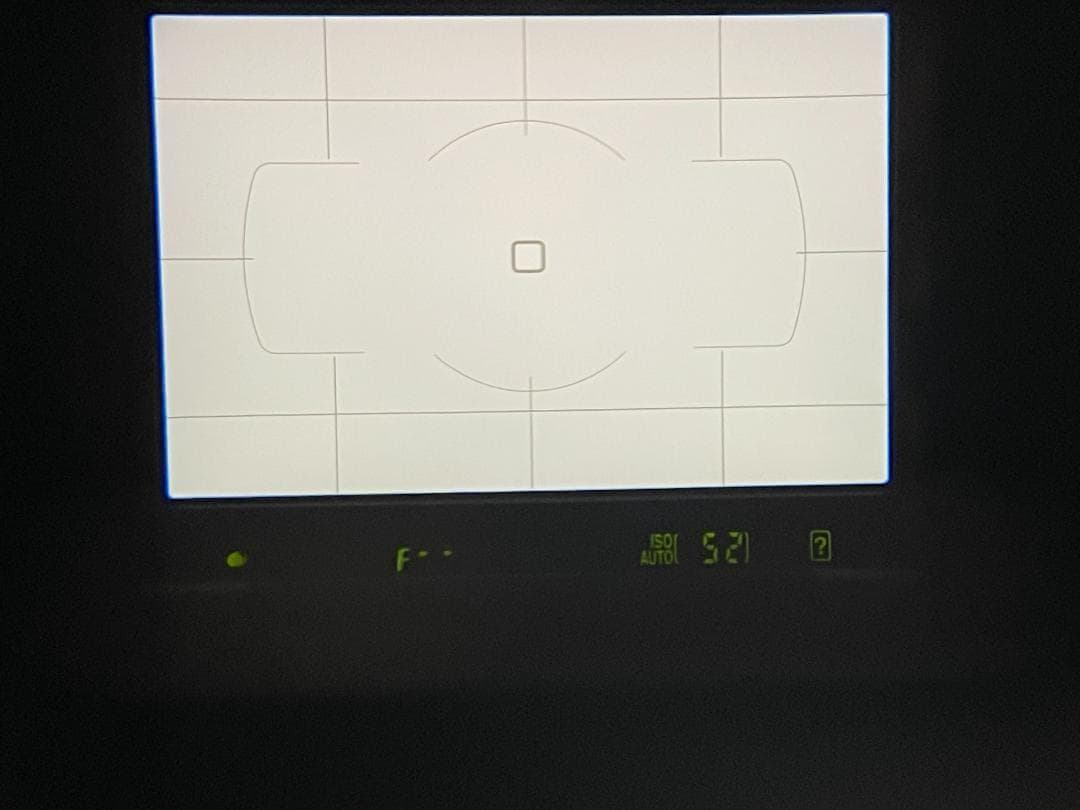 【ショット数2381回/ほぼ新品】Nikon D5600 ☆Wi-Fi内蔵 ☆