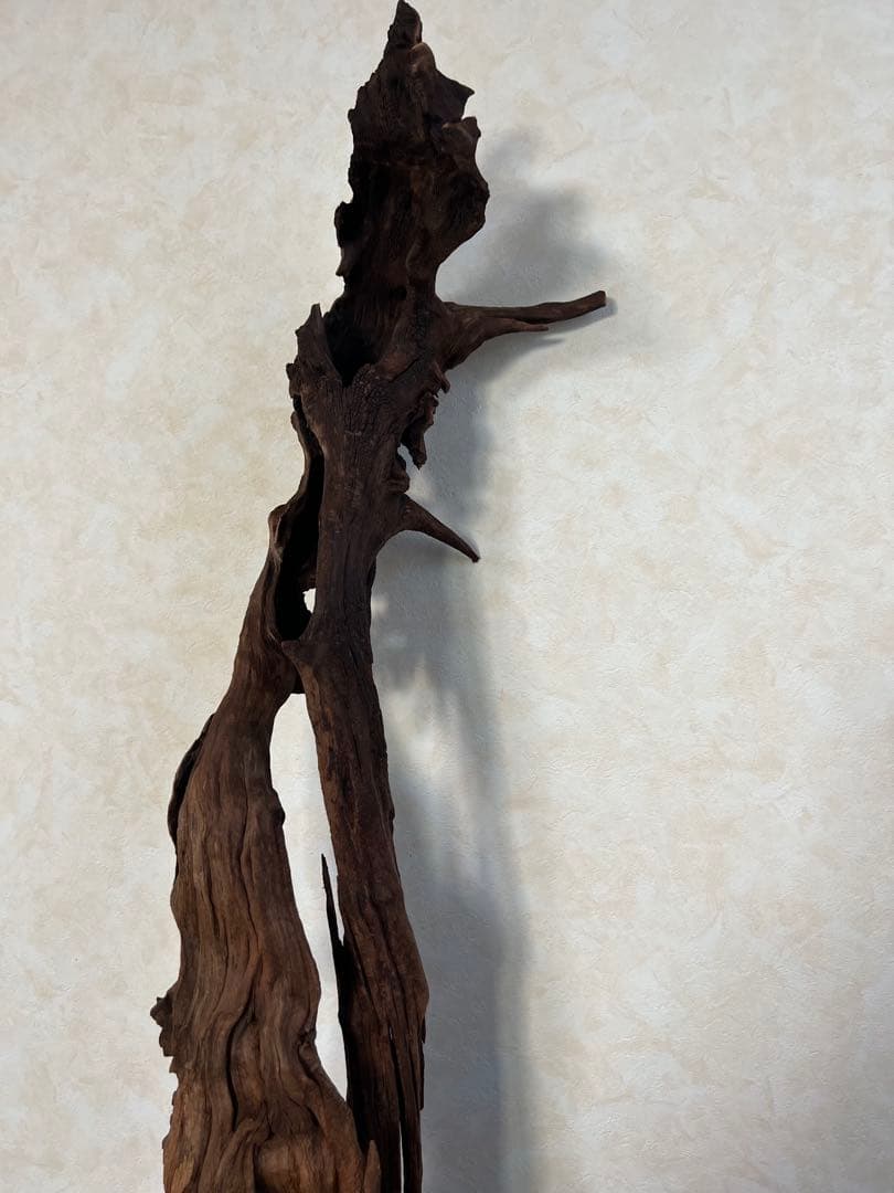 HX-026 流木　ホーンウッド　マシンガンウッド　アクアリウム　ブランチウッド